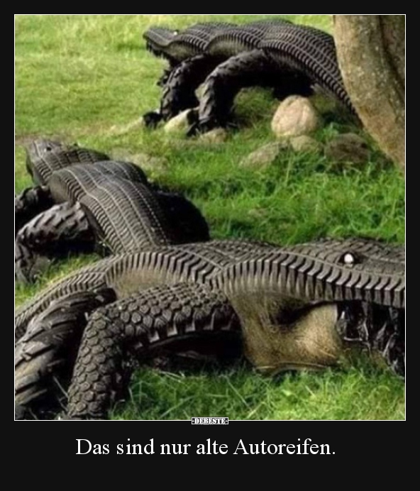 6951dd3b3d8c4ef971d77e3c52bc51da3996.jpg