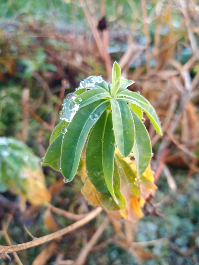 img_20201125_055833.jpg