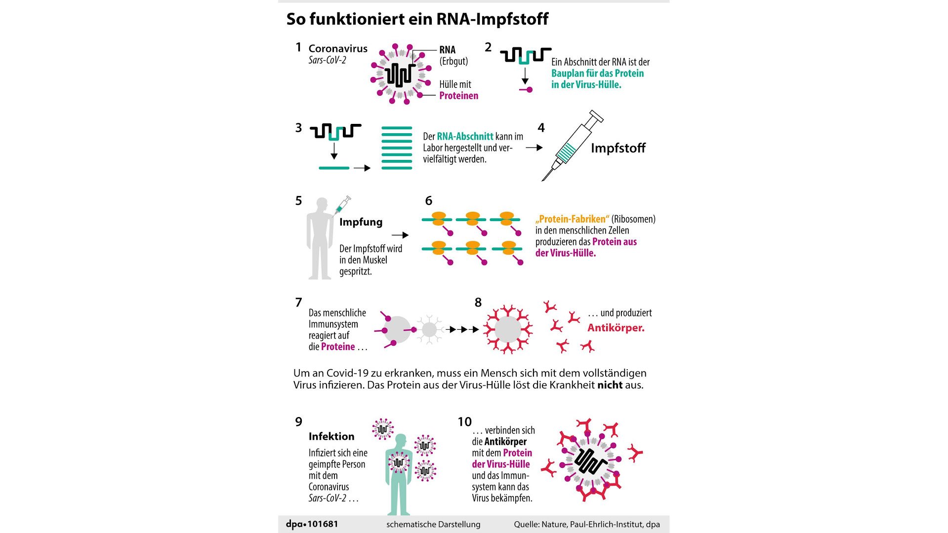 rna.jpg