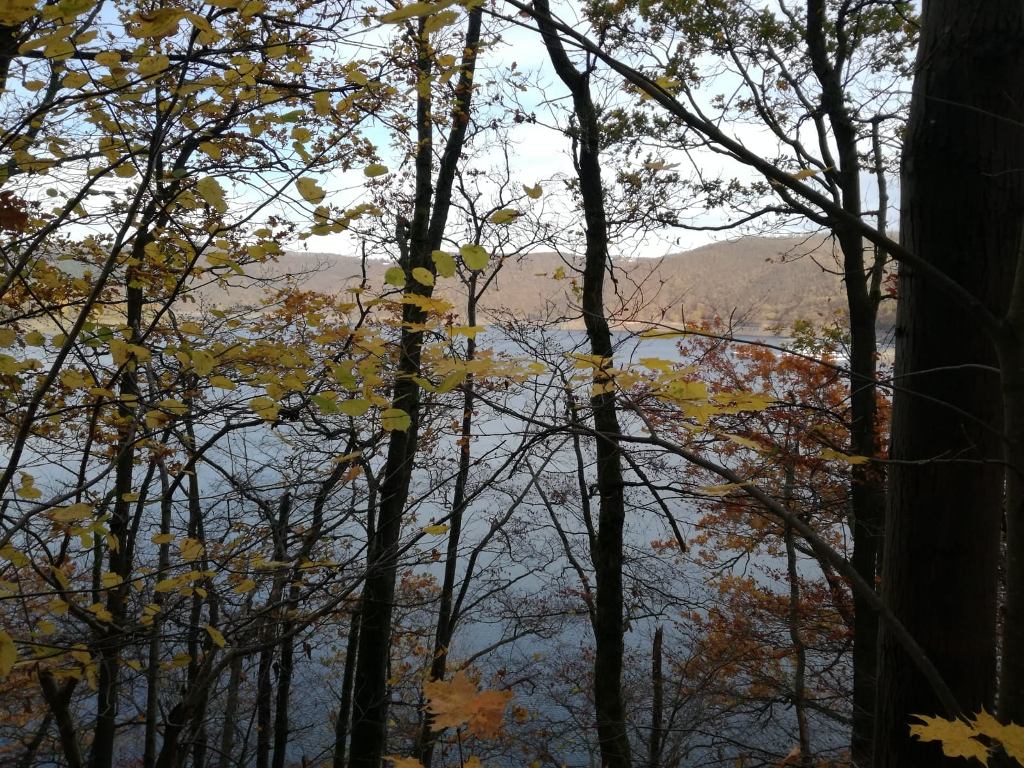 blick_zum_see.jpg