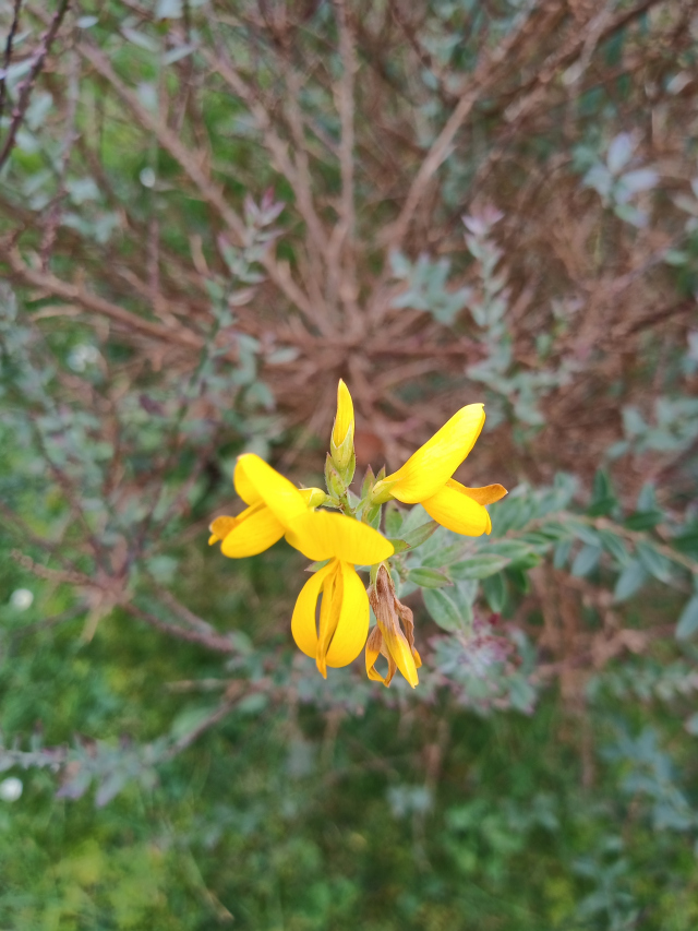 img_20201201_061156.jpg