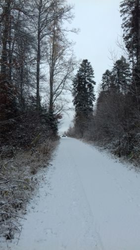 20201201_100002erster_schnee.jpg