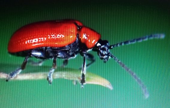 20201203_140719h__hnchen2.jpg