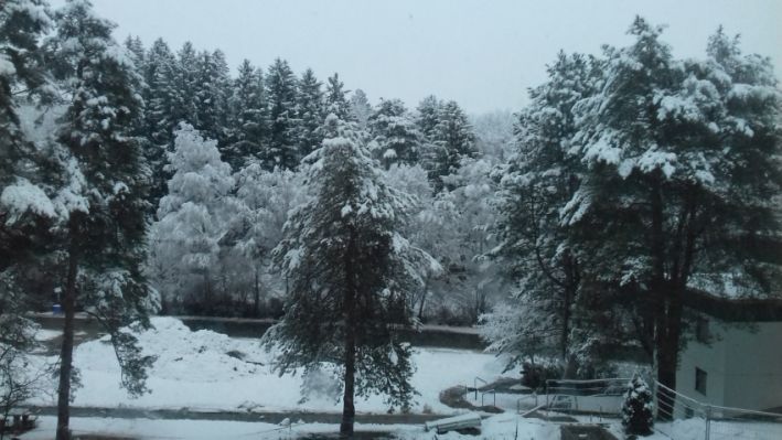 20201207_081100schnee.jpg