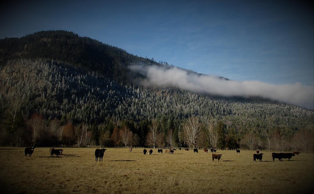 07122020_auf_der_farm.jpg