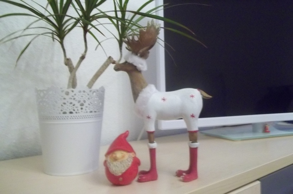 100_3306.jpg