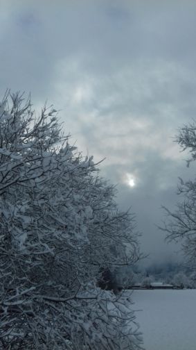 20201207_105223winterland.jpg