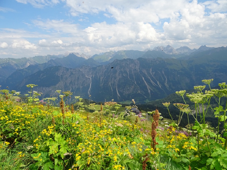 bild_ob_blick_von_kanzel444.jpg