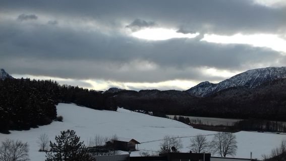20201208_103138see_und___.jpg