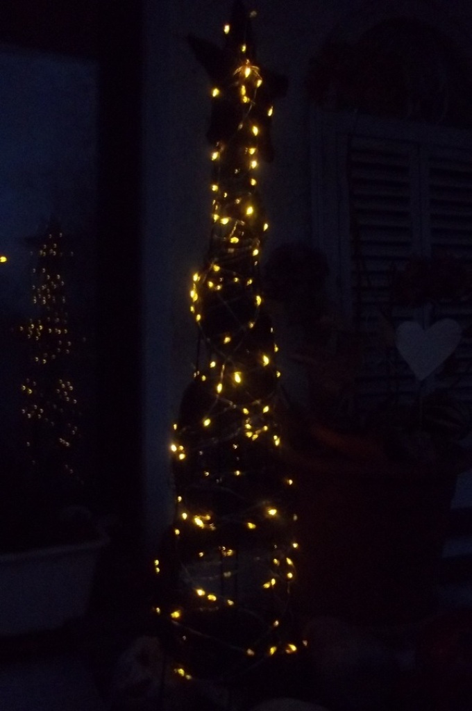 100_3308.jpg
