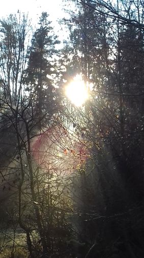 20201214_100645sonnenschein.jpg