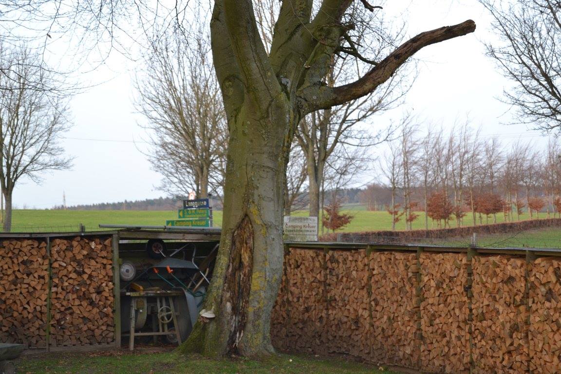 genug_holz.jpg