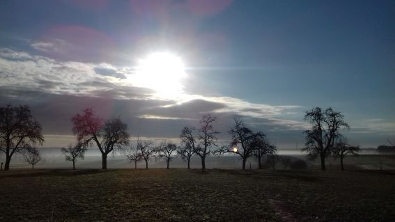 20201217_101829morgen.jpg
