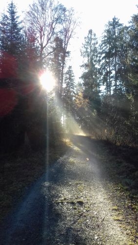 20201216_101633sonne.jpg