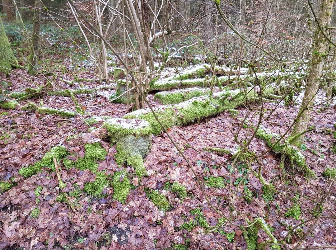 20201227-162324_8505_gallery.jpg
