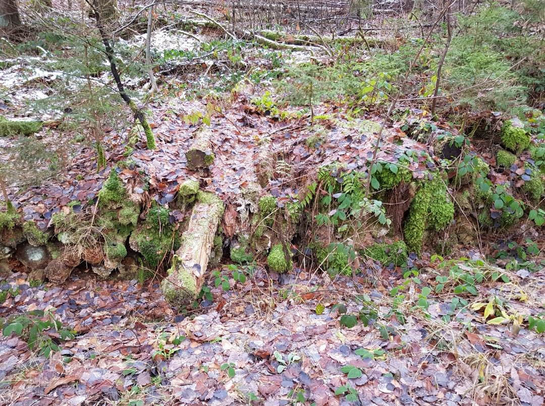 20201227-162150_8505_gallery.jpg