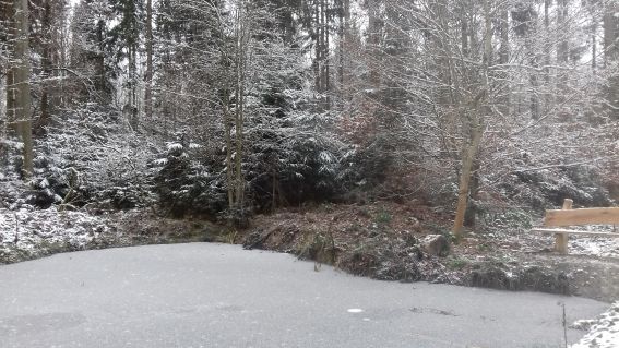 20201227_103512teich_gefroren.jpg