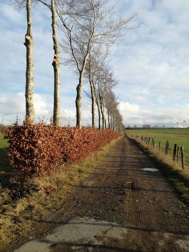 feldweg_rohren.jpg