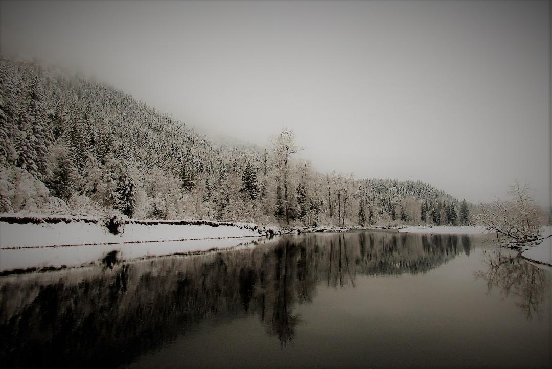 kanada29122020_last_auf_den_b__umen.jpg