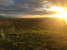 spaziergang.jpg