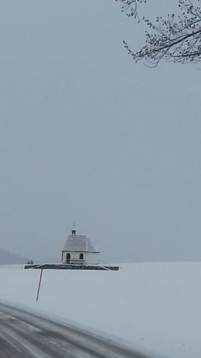 20210106_101404einsam.jpg