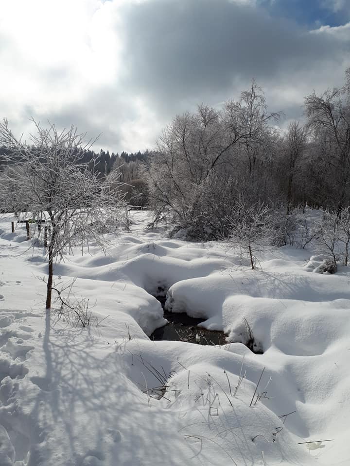 schnee_in_venn_2.jpg