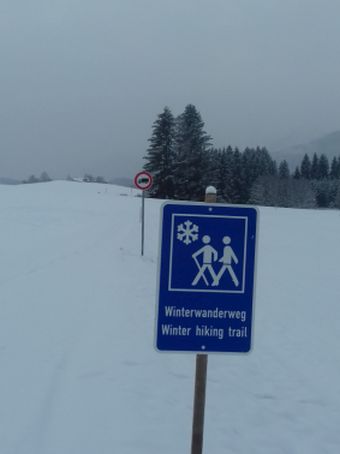 20210106_105640winterwandern.jpg