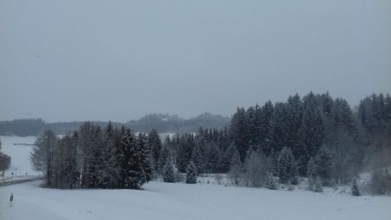 20210106_104249schlittschuh.jpg