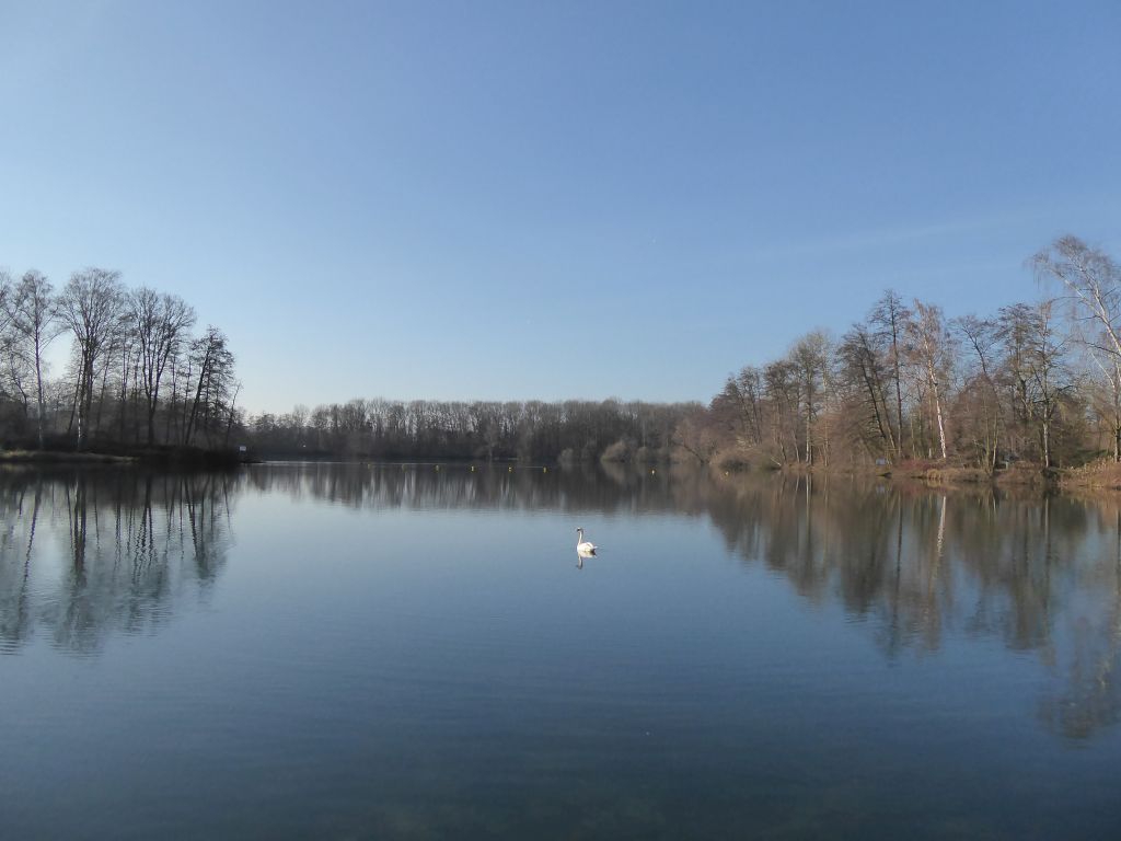 1090290.jpg