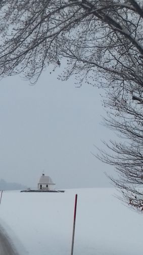 20210106_101332eisam_2.jpg