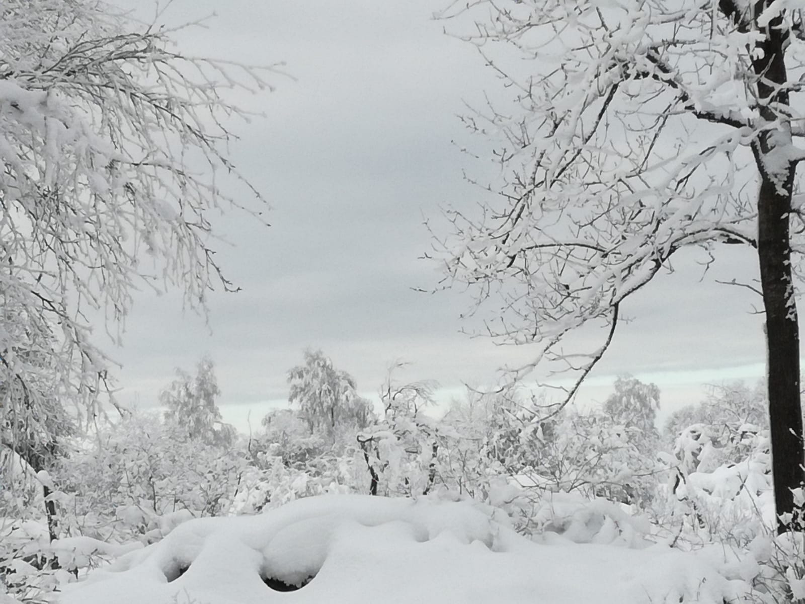 schnee_venn_3.jpg