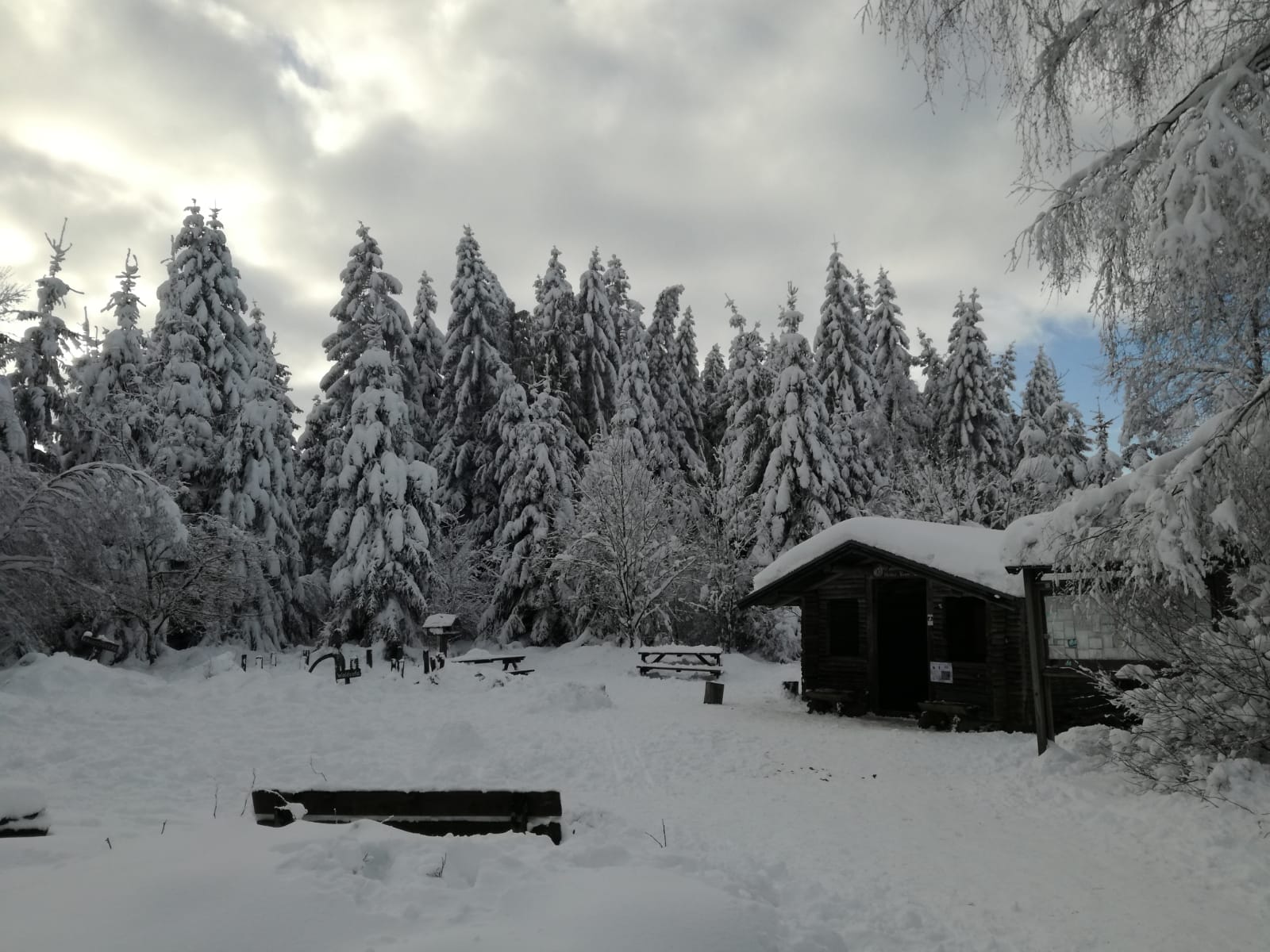 schnee_venn_2.jpg