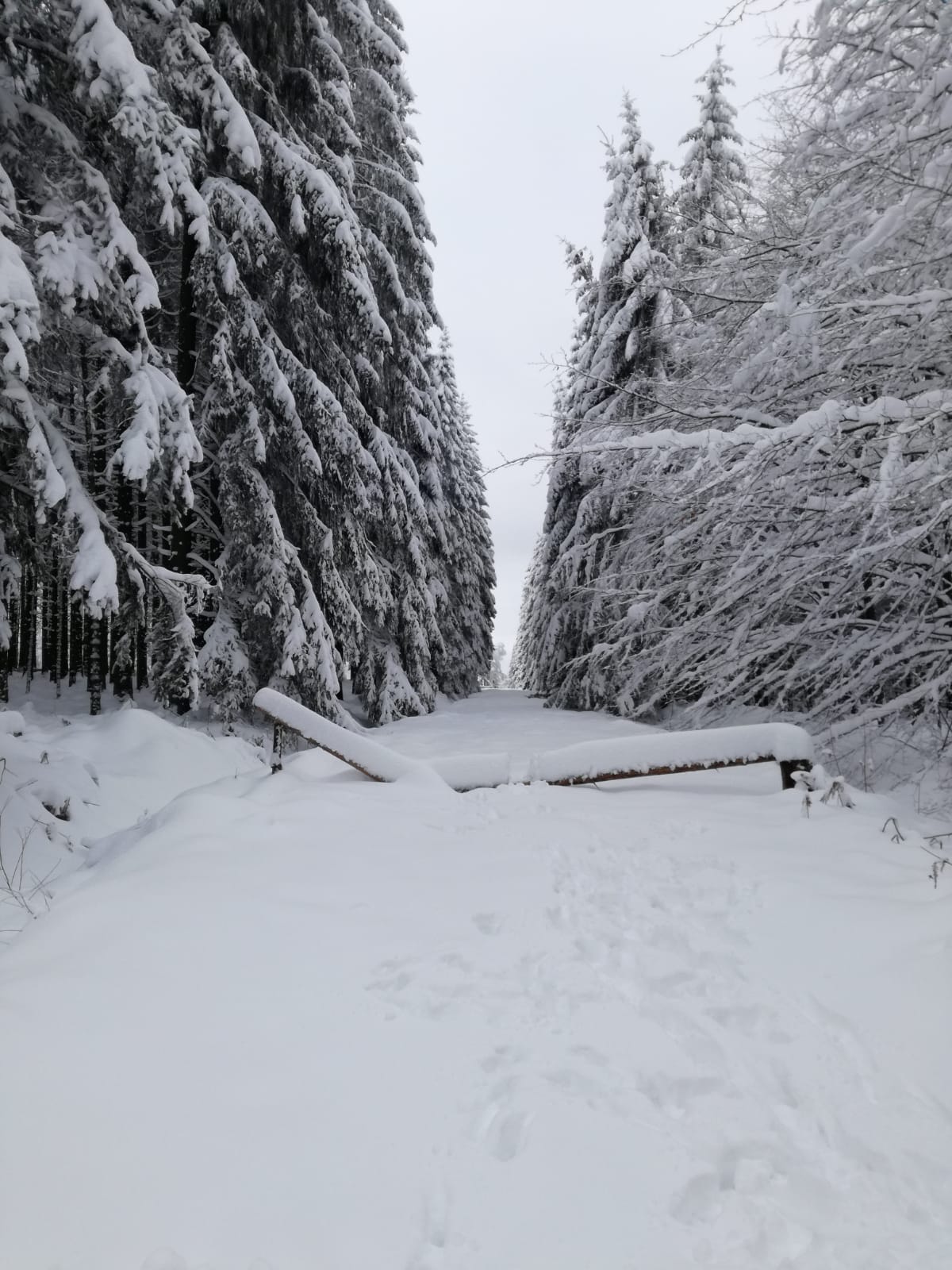 schnee_venn1.jpg