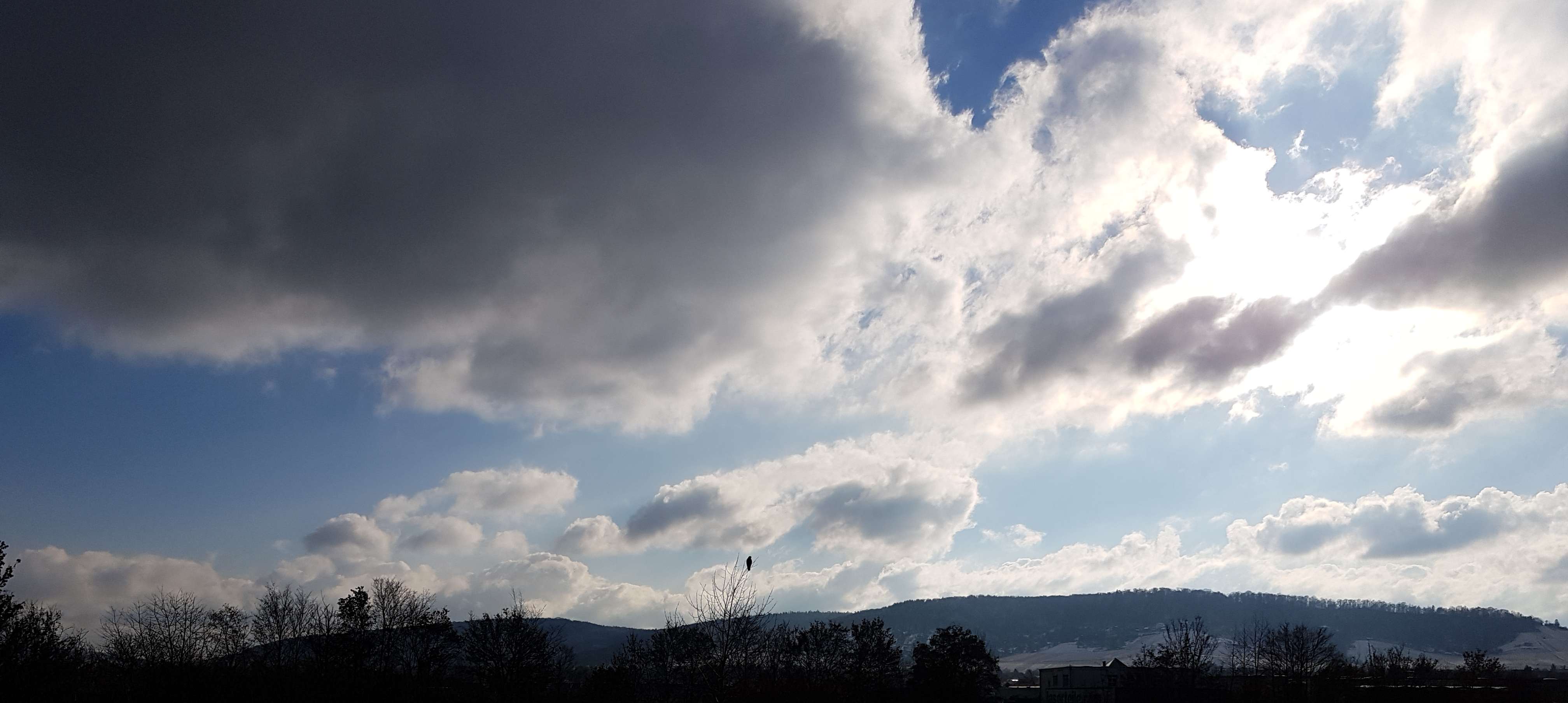 20210110_132123_8505_.jpg