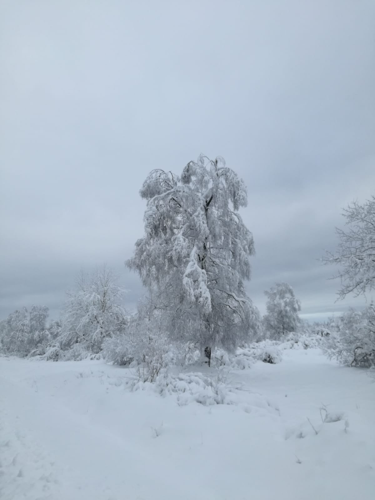 schnee_v_enn_5.jpg