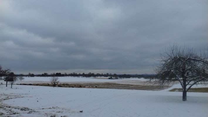 20210113_103757schafe21.jpg