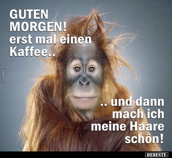 gutenmorgen.jpg