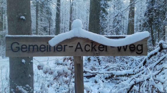 20210108_102235gemeiner_ackerweg.jpg