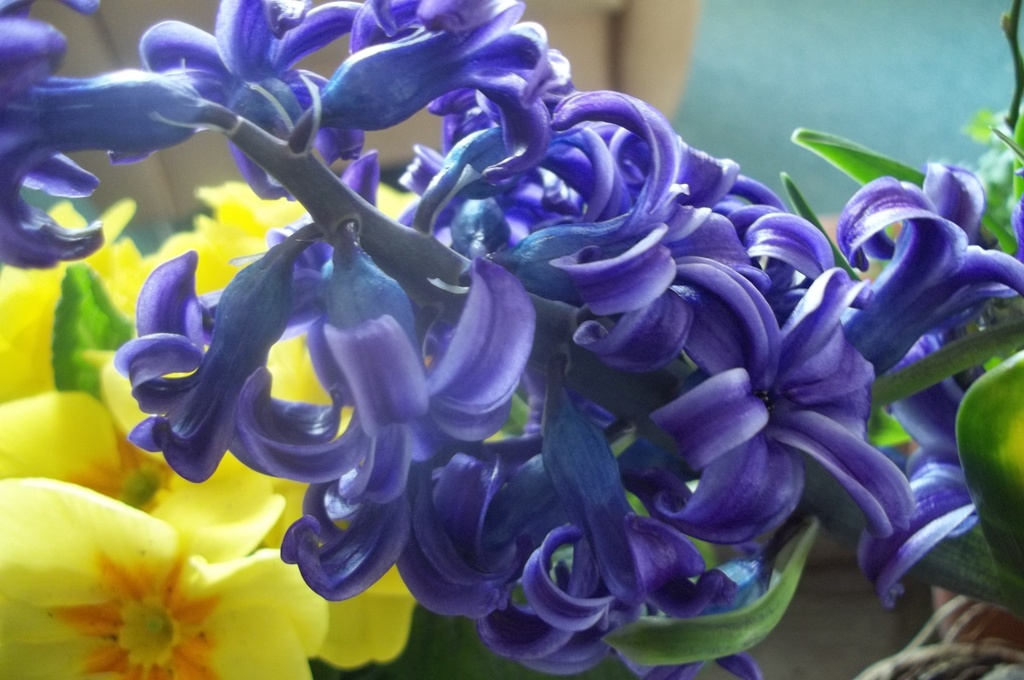 100_0501.jpg