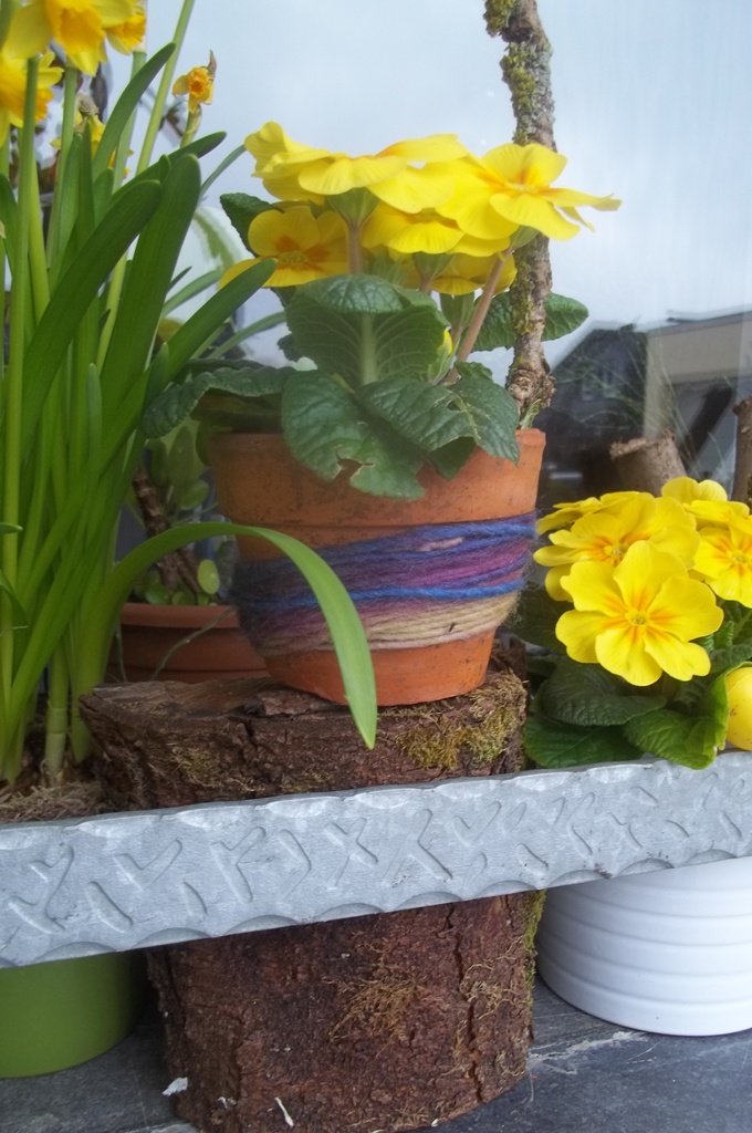 100_0505.jpg
