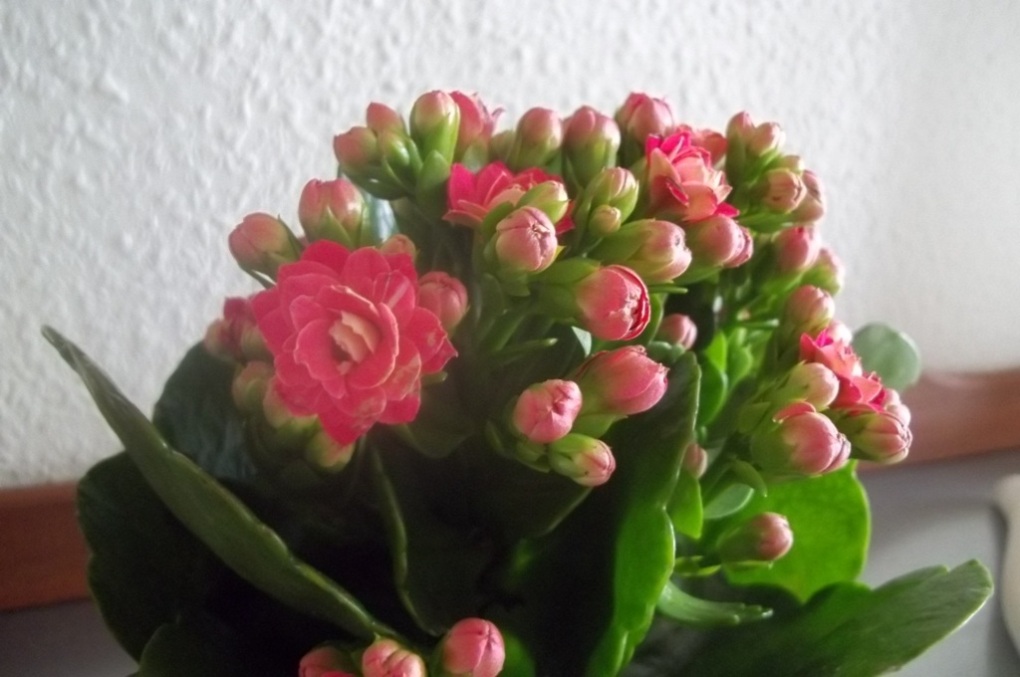 100_0618.jpg
