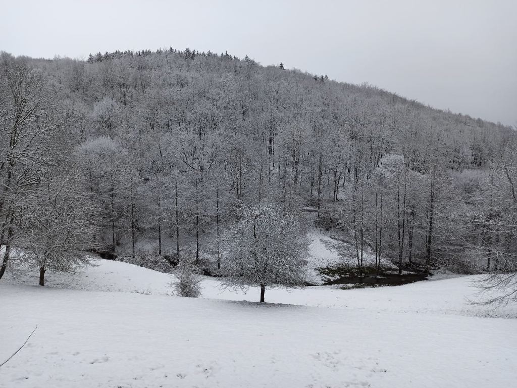 eifel.jpg