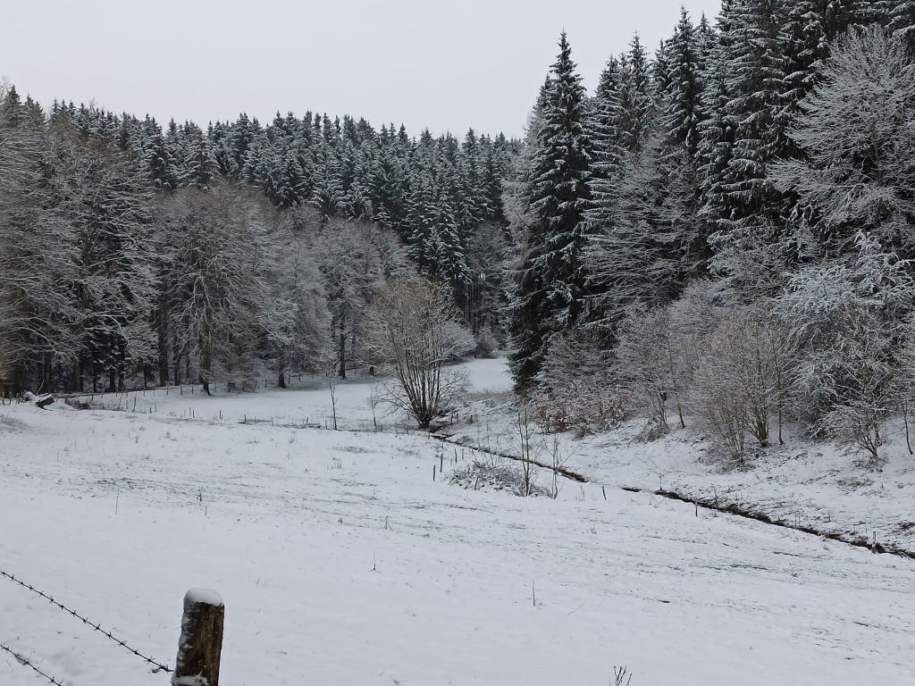 winter_2.jpg