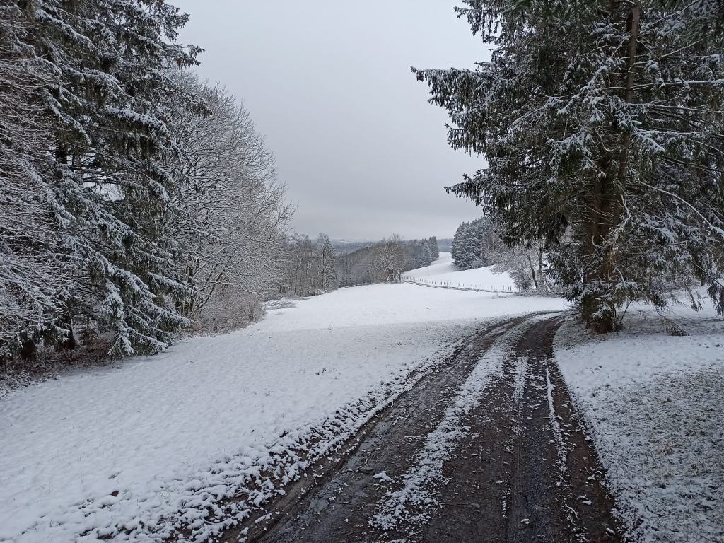 winter.jpg