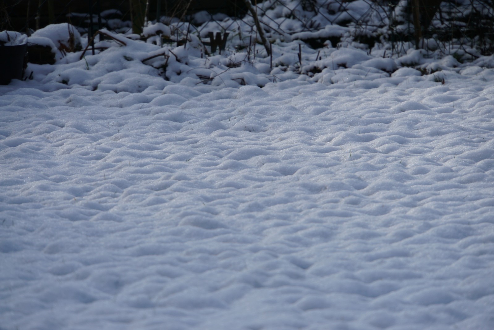 schnee_7_jan_2021.jpg