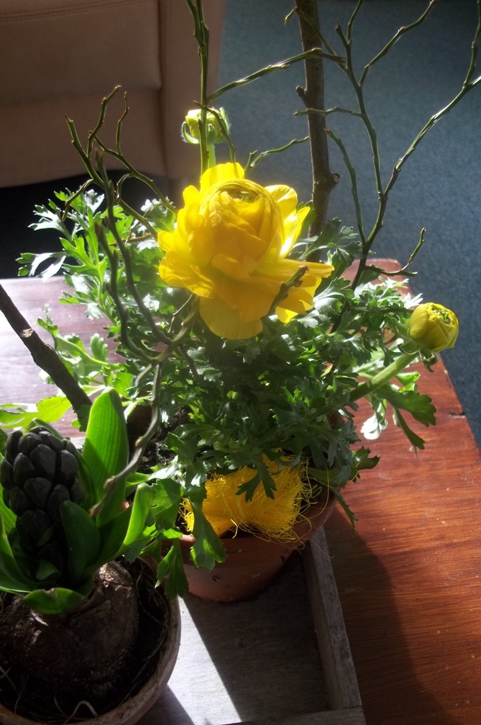 100_0413.jpg