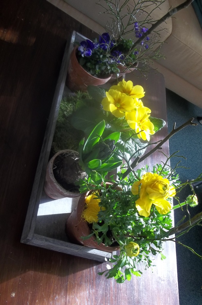 100_0409.jpg
