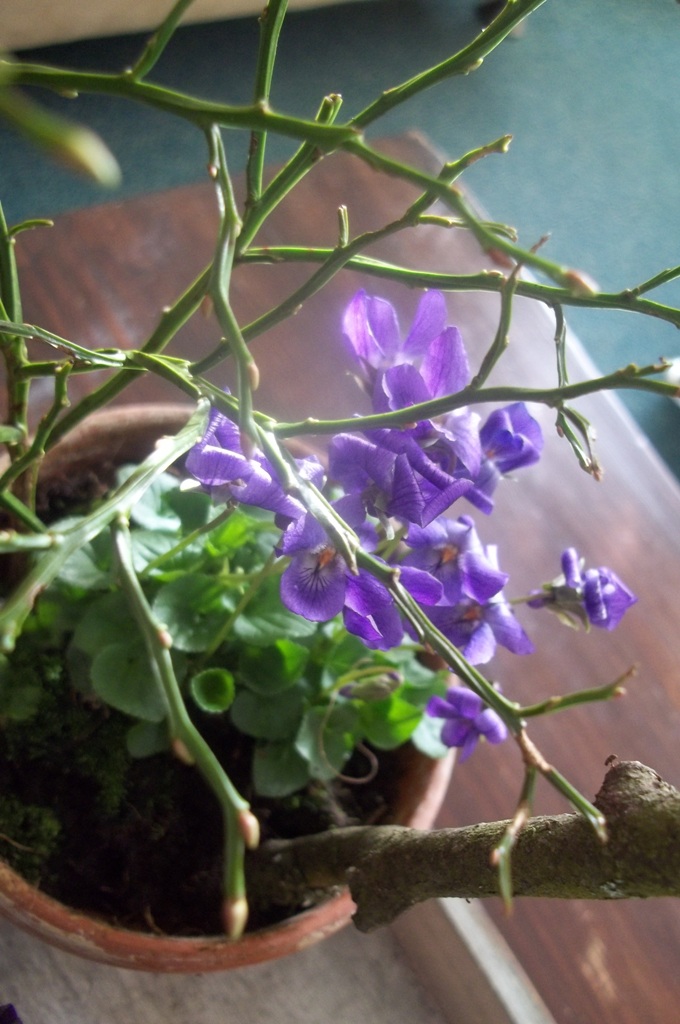 100_0414.jpg