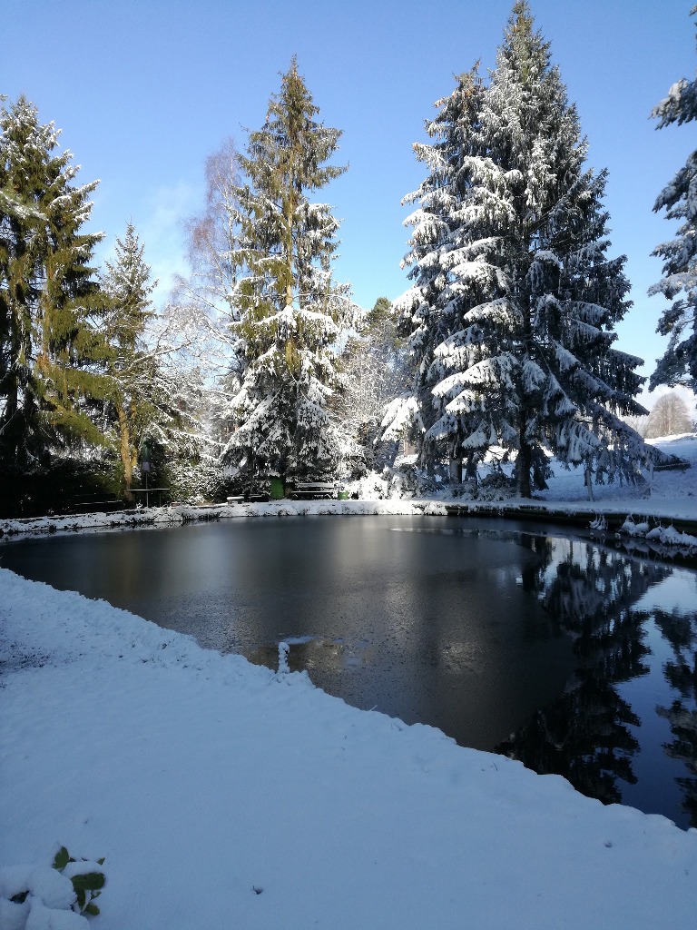 weiher_im_schnee.jpg