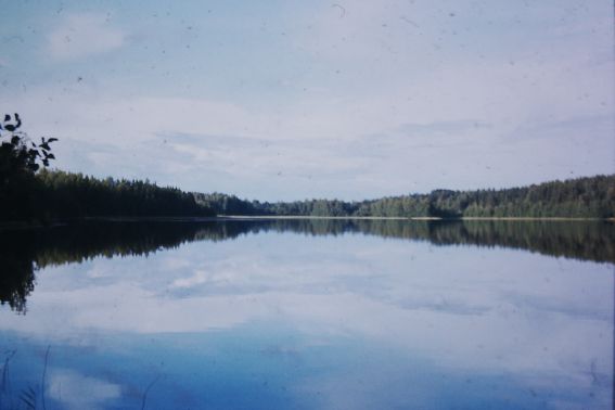 pict0010iso_paljo_see2.jpg